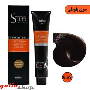 رنگ موی استیل سری بلوطی شماره STEEL 6.69 