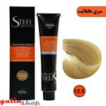 رنگ موی استیل سری هایلایت شماره STEEL 12.5