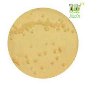 محیط کشت میکروبی   DG18 (Dichloran Glycerol) Agar Base