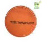 محیط کشت انتخابی Clostridium Selective Agar