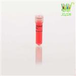 مسترمیکس پی سی ار PCR Master Mix ROMAX