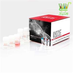 استخراج DNA از بافت و باکتری DNJia Tissue and Bacteria Kit