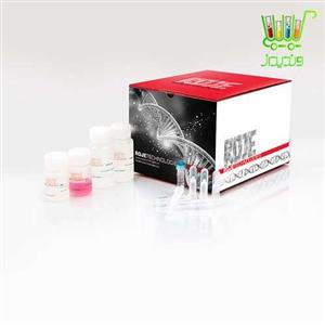 کیت استخراج DNA از خون DNJia Blood Kit