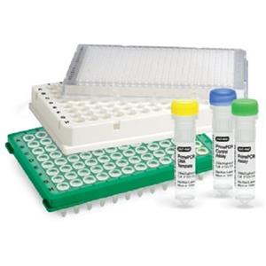 کیت Real-Time PCR Assay برای تعیین میزان کمی نسبی مولکول ROR موشی