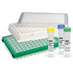 کیت Real-Time PCR Assay برای تعیین میزان کمی نسبی مولکول T-bet موشی
