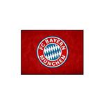 استیکر تیداکس گروپ طرح BAYERN MUNCHEN مدل TII178