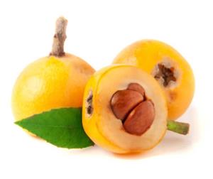 نهال ازگیل ژاپنی