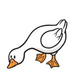 استیکر مستر راد طرح اردک فضول کد 004