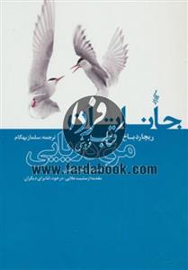 جاناتان مرغ دریایی 