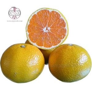 نهال نارنگی هاشیموتو