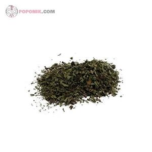بادرنجبویه-100گرم