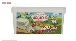 پنیر کاتیج رسیده در آب نمک پگاه مقدار 800 گرم