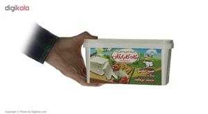 پنیر کاتیج رسیده در آب نمک پگاه مقدار 800 گرم