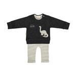 ست تی شرت و شلوار نوزادی رابو مدل 2051100-9490