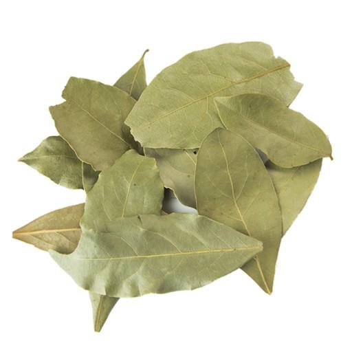 برگ بو فله ای