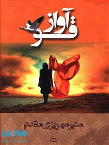 کتاب آواز قو اثر منیر مهریزی مقدم نشر شادان 