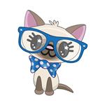 استیکر مستر راد طرح گربه عینکی کد 058