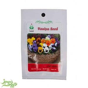 بذر بنفشه الوان