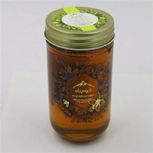 عسل گون ارگانیک کوهپناه 500 گرم KohPanah Gavan Organic Honey gr 