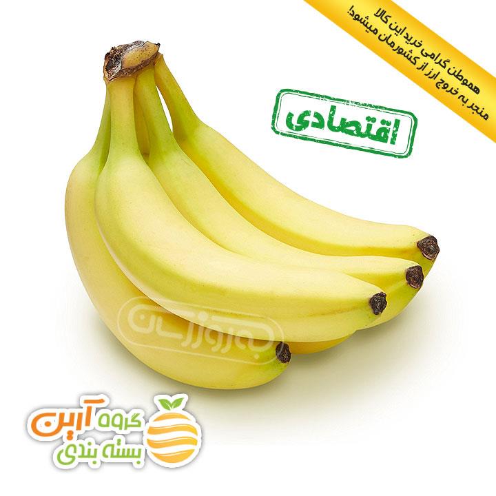 میوه موز تازه