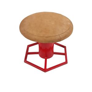 قارچ ژیمناستیک مدل GM01