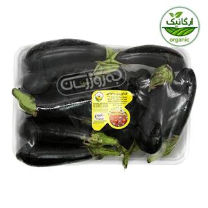بادمجان ارگانیک رضوانی - 1 کیلوگرم