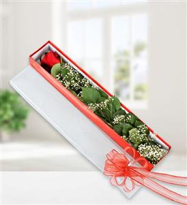 باکس گل ربانی تک شاخه 