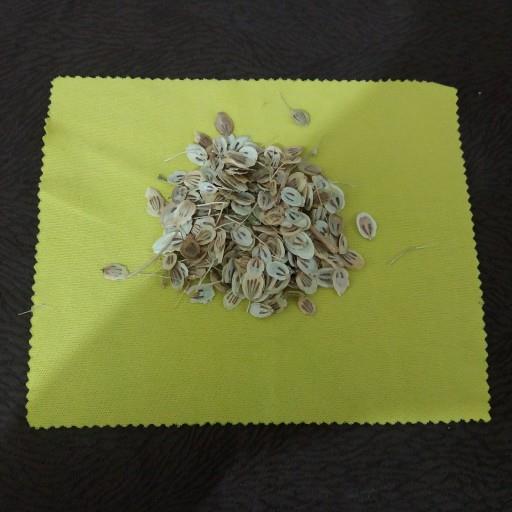 برگ گلپر فله ای