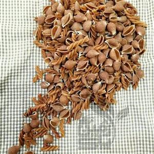 ماکارونی سبوسدار پیچی (500 گرمی)