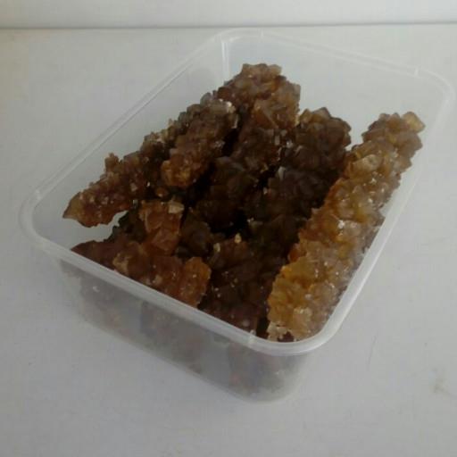 نبات نیشکر