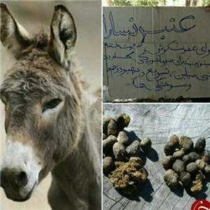 عنبرنسارا نیم کیلویی