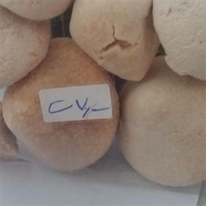کشک گوسفندی محلی تازه