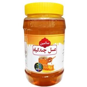 عسل چند گیاه ارگانیک سالمین