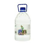 Narvan Chicory Leaf Water - 4 Lit