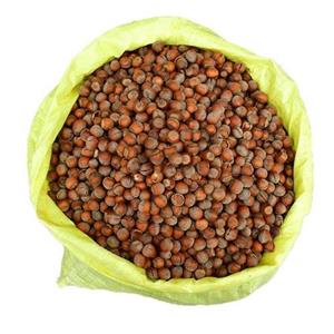 فندق خام 10 کیلویی فیدنو(عمده) -تولید98