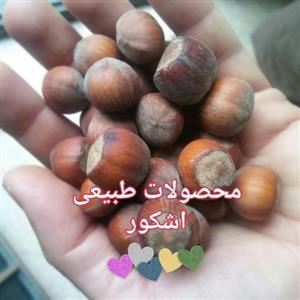 فندق اشکور 2 کیلو گرم 