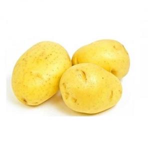 سیب زمینی تازه کیلویی