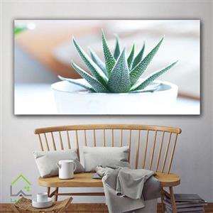 تابلو دکوری کاکتوس 2