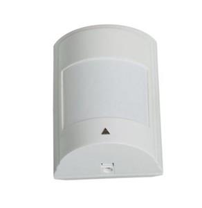 چشم الکترونیک پارادوکس