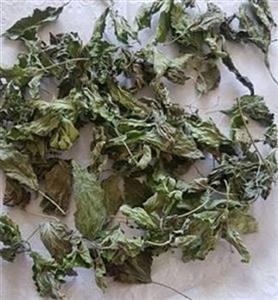 بادرنجبویه خشک ۷۰ گرمی