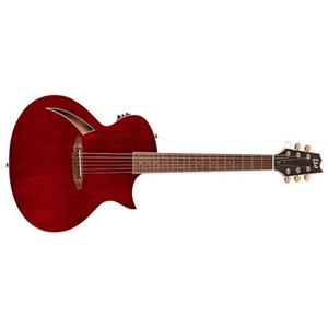 گیتار آکوستیک Acoustic Guitar ESP LTD TL-6 - Black