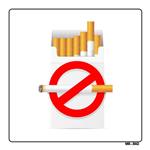 برچسب ایمنی مستر راد طرح سیگار ممنوع کد LR00297 بسته دو عددی