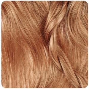    رنگ موی سری Chestnut مدل بلوند بلوطی روشن شماره 8.81 بیول
