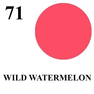 رژ لب جامد دایانا آف لاندن سری Diana Surprise مدل Wild Watermelon شماره 71 Diana of London Diana Surprise Wild Watermelon Lipstick 71