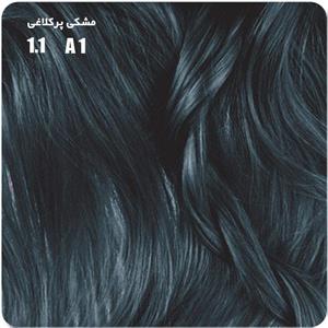 رنگ موی بیول سری Ash مدل Blue Black شماره 1.1 Biol Ash Blue Black Hair Color 1.1