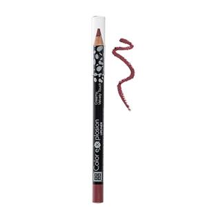 مداد لب سری Color Explosion مدل Bare Modesty شماره 01 دی ام جی ام DMGM Color Explosion Bare Modesty Lip Liner 01