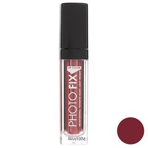 رژ لب مایع دی ام جی ام سری PhotoFix مدل Plum Frost شماره 333 DMGM PhotoFix Plum Frost Lip Gloss 333