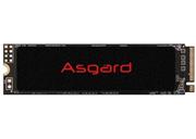 Asgard AN2 M.2 2280 PCIe Gen 3.0x4 NVMe 2TB Internal SSD