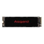 Asgard AN2 M.2 2280 PCIe Gen 3.0x4 NVMe 1TB Internal SSD