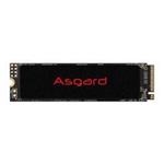 Asgard AN2 M.2 2280 PCIe Gen 3.0x4 NVMe 500GB Internal SSD